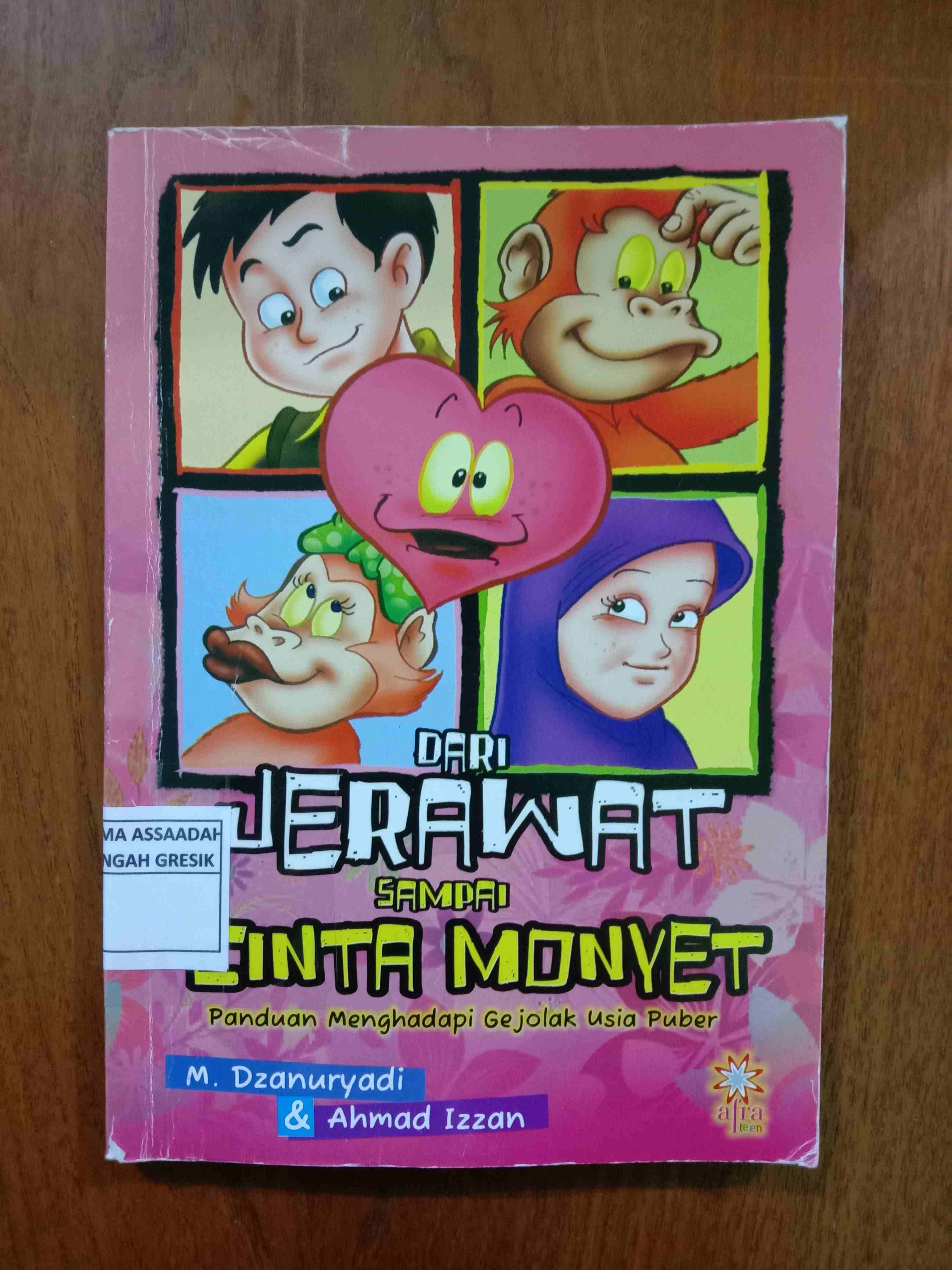 DARI JERAWAT SAMPAI CINTA MONYET